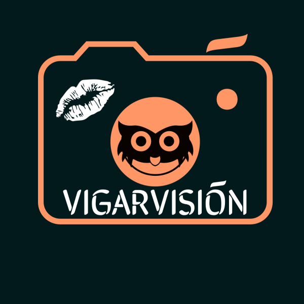 VIGARSITE