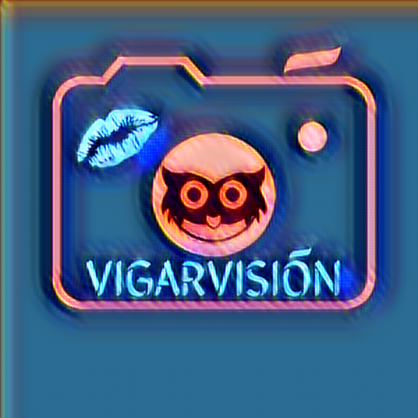 VIGARSITE